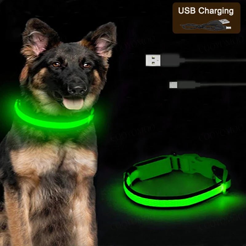 USB LED Glow Dog Collar - Poochi Paws