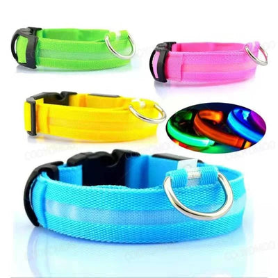 USB LED Glow Dog Collar - Poochi Paws